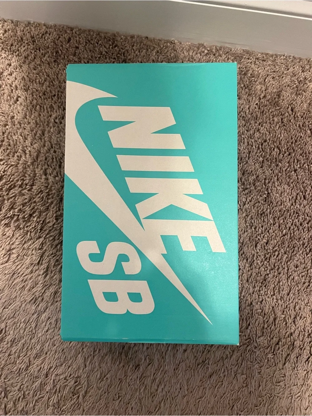 Nike Black Low-Top Sneakers with White Swoosh